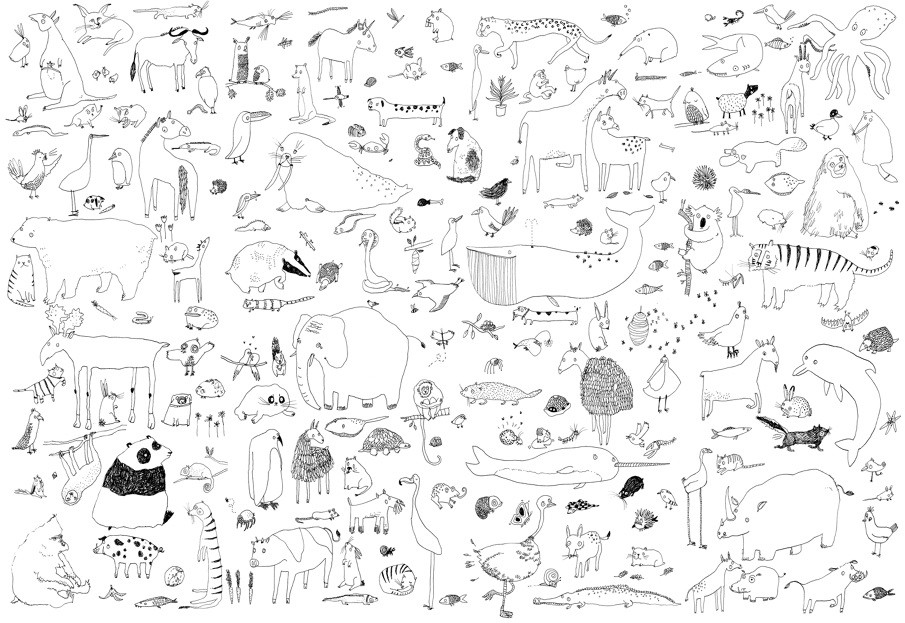 Coloring Posters For Kids
 Animal colouring in poster Lorna Scobie Illustration