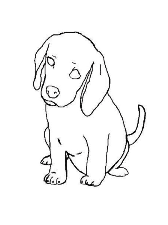 Coloring Sheets Free Printable
 Kids Page Beagles Coloring Pages