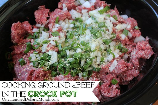 Cooking Ground Beef In Microwave
 Weekly Meal Plan Menu Plan Ideas Week 42 of 52 e