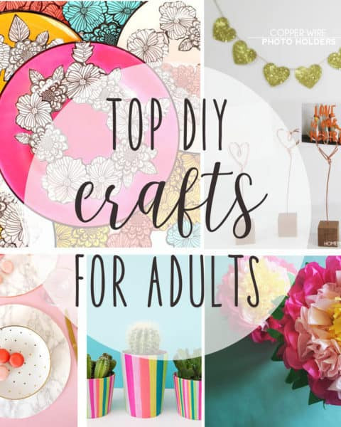 Craft Project Ideas For Adults
 top DIY crafts for adults 
