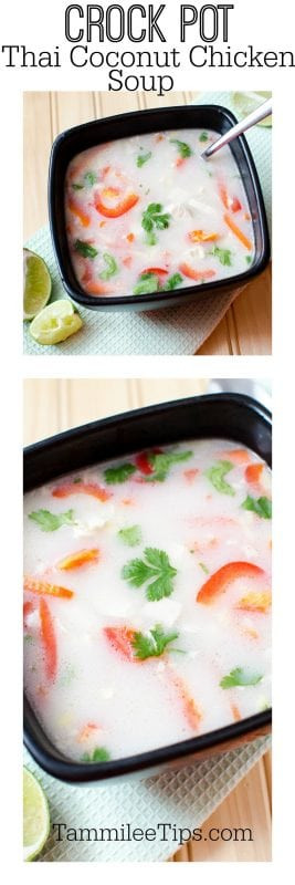 Crockpot Thai Chicken Soup
 Slow Cooker Crock Pot Thai Coconut Soup Recipe Tammilee Tips