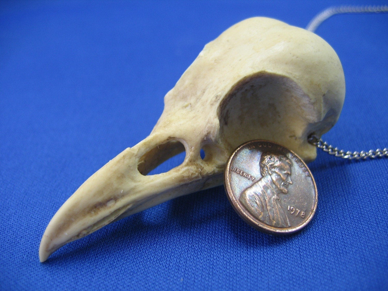 Crow Skull Necklace
 Crow Skull Pendant Necklace Weathered Finish Life Size