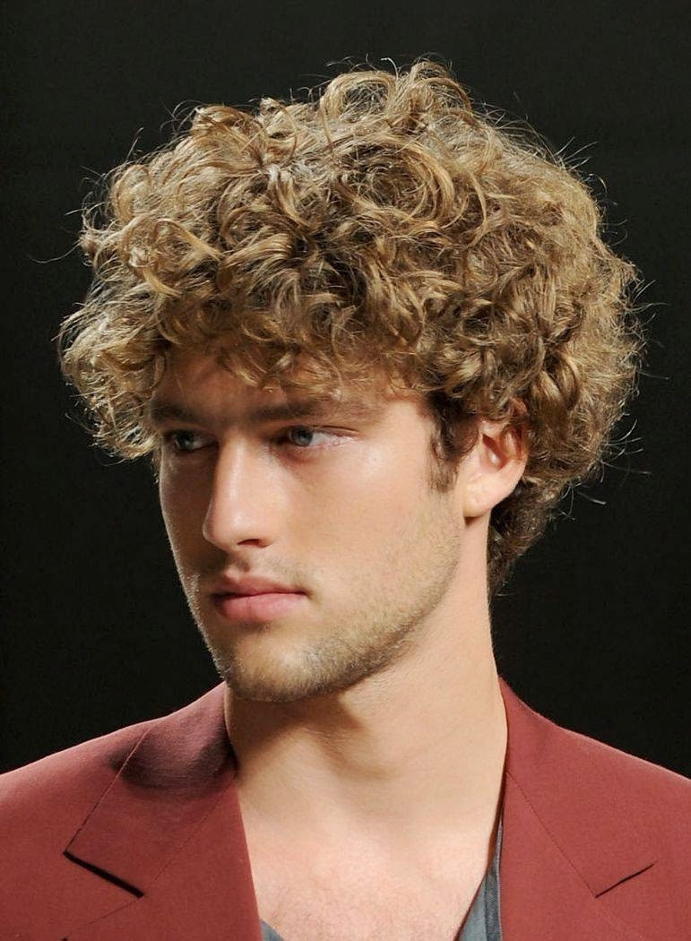 Curly Hair Haircuts Male
 Hairstyle 2014 Men s Curly Hairstyles 2014