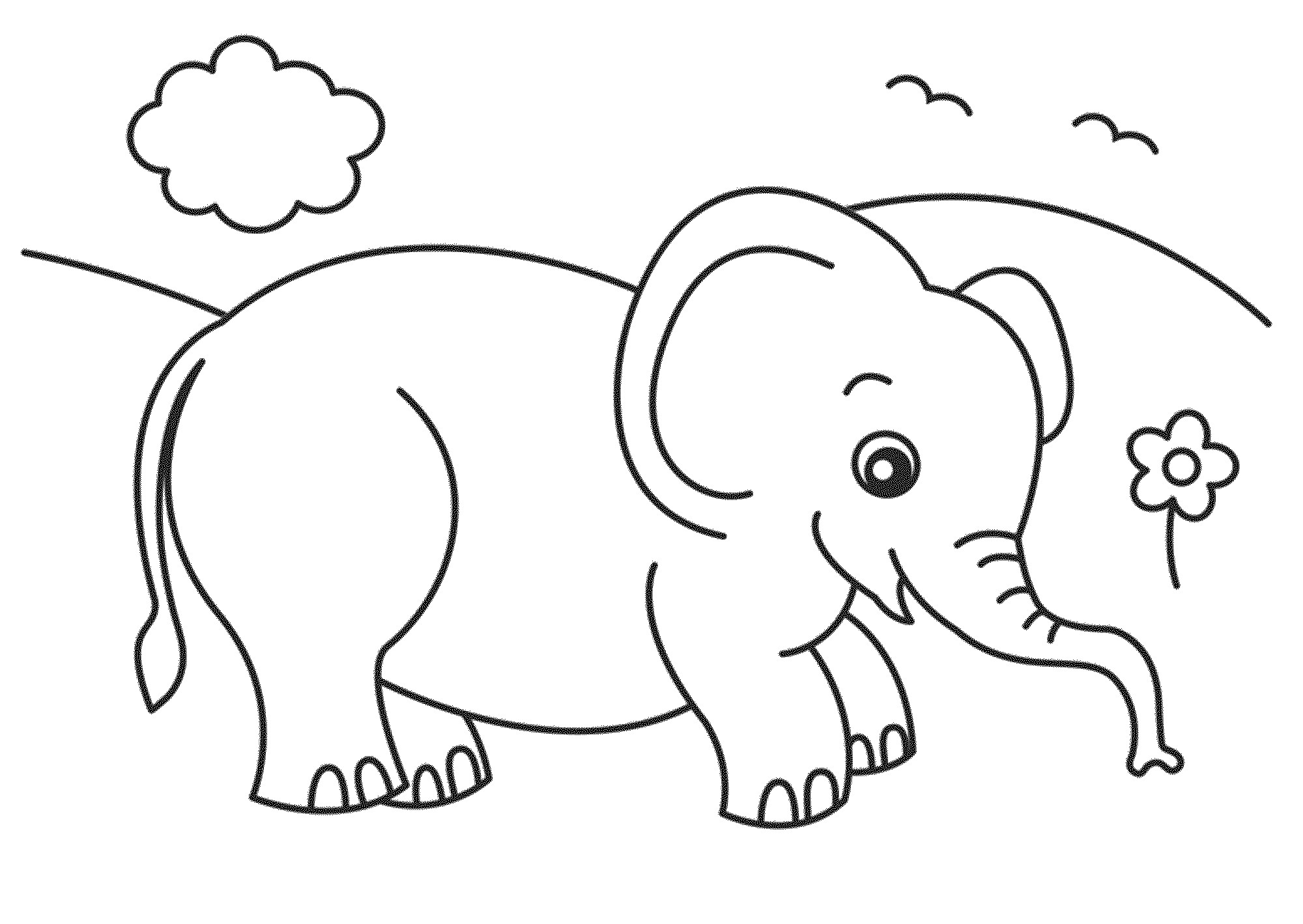 Cute Baby Elephant Coloring Pages
 Easy Elephant Coloring Pages Ideas For Beginners