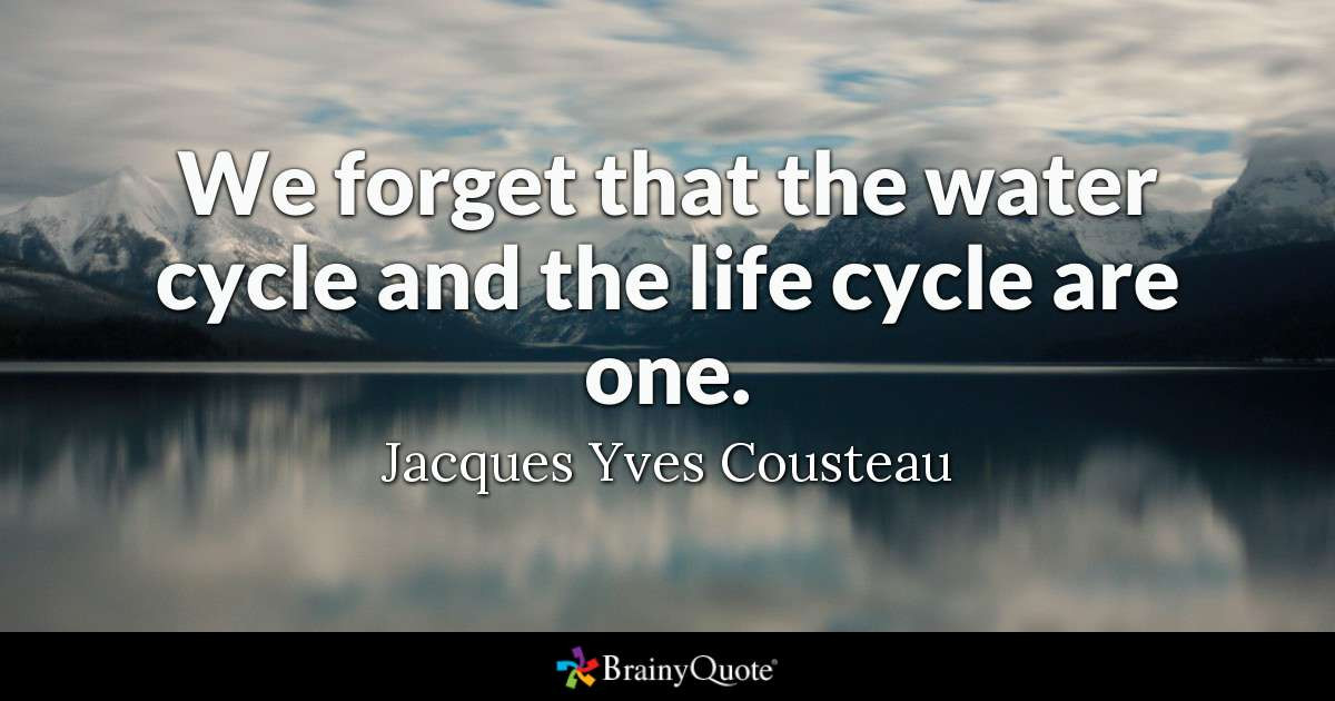 Cycle Of Life Quotes
 We for that the water cycle and the life cycle are one