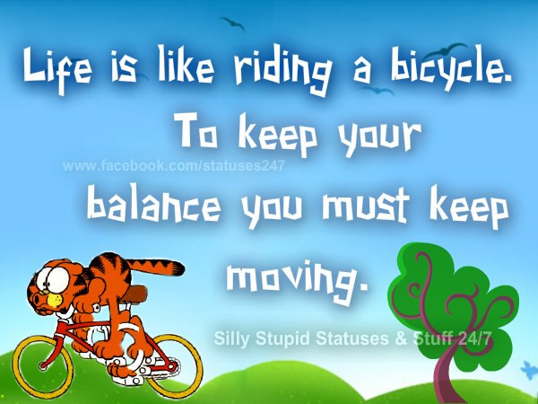 Cycle Of Life Quotes
 Quotes About Life Cycle QuotesGram