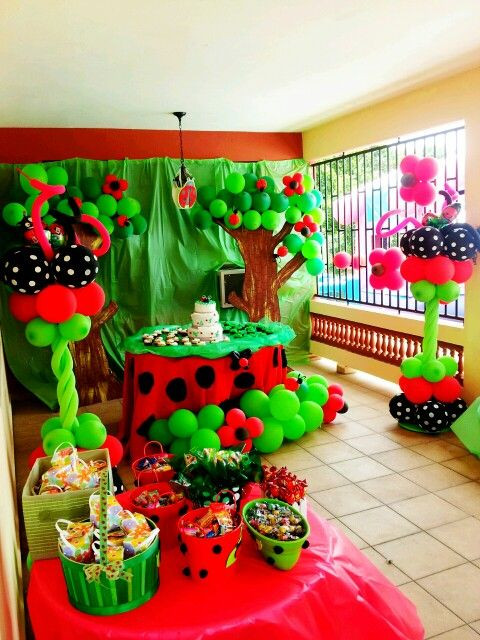 Decorations For Birthday
 Ladybug decoration party