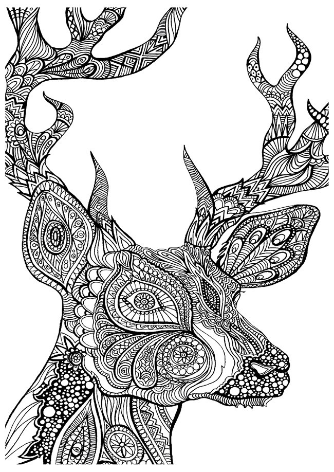 Deer Coloring Pages For Adults
 12 Fall Coloring Pages for Adults Free Printables