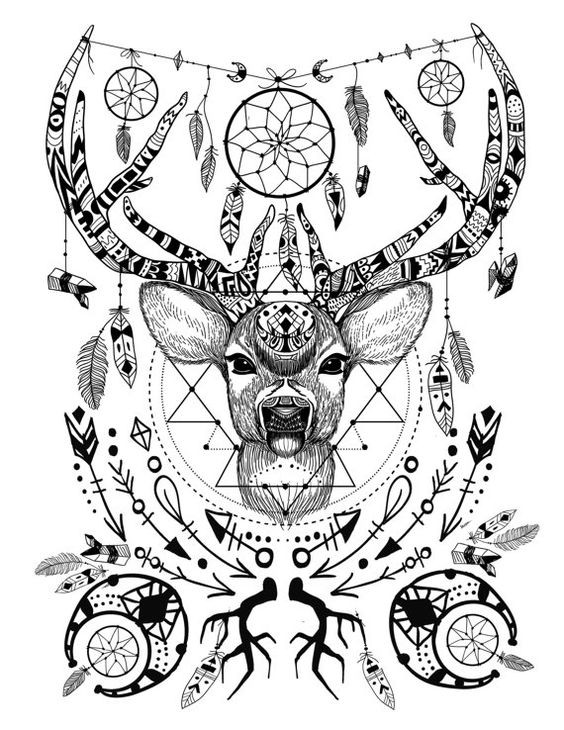 Deer Coloring Pages For Adults
 Deer Adult Coloring Book Rainbow Coloring Pages