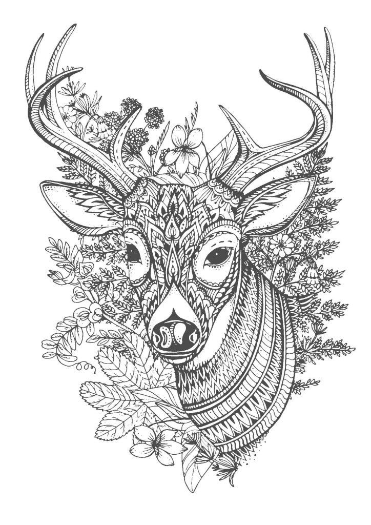 Deer Coloring Pages For Adults
 鹿 大人の塗り絵 コロリアージュ deer