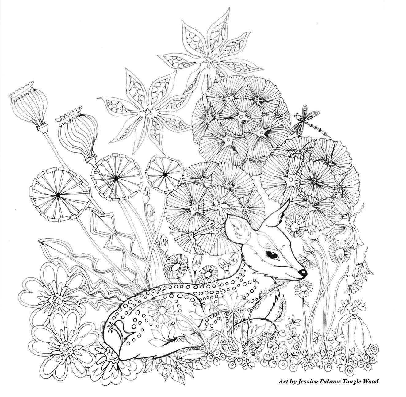 Deer Coloring Pages For Adults
 Deer resting in the flowers coloring page