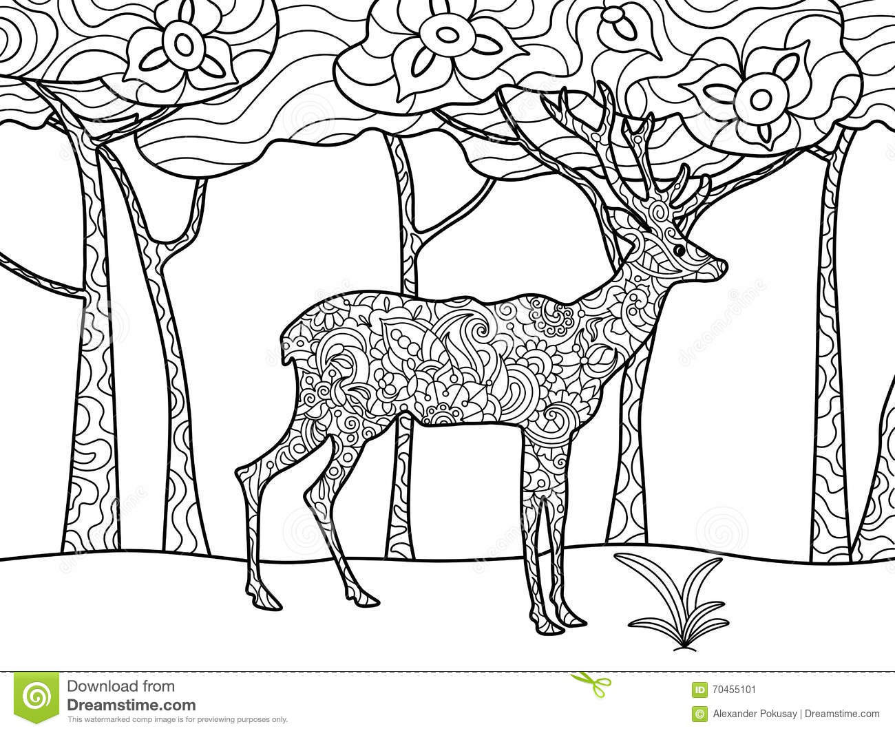 Deer Coloring Pages For Adults
 Deer Coloring Book For Adults Raster Stock Vector