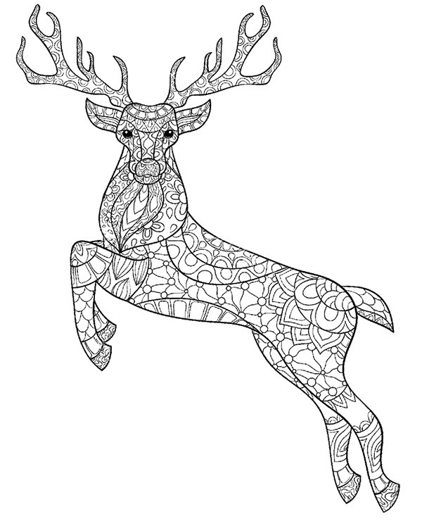Deer Coloring Pages For Adults
 Deer stag printable colouring pages for adults