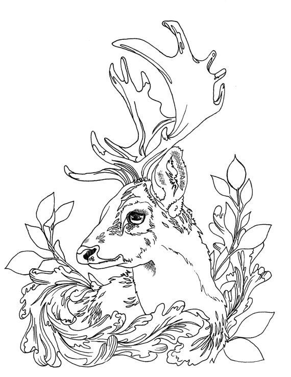 Deer Coloring Pages For Adults
 Pin by katmoon on Animals Pinterest