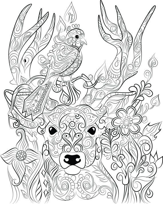 Deer Coloring Pages For Adults
 40 adult colouring pages to print and color
