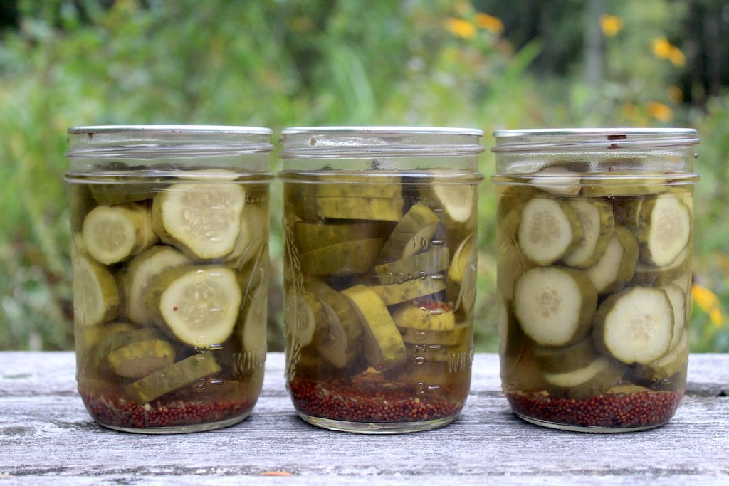 Dill Pickles Recipes Canning
 Dill Pickle Recipe for Canning