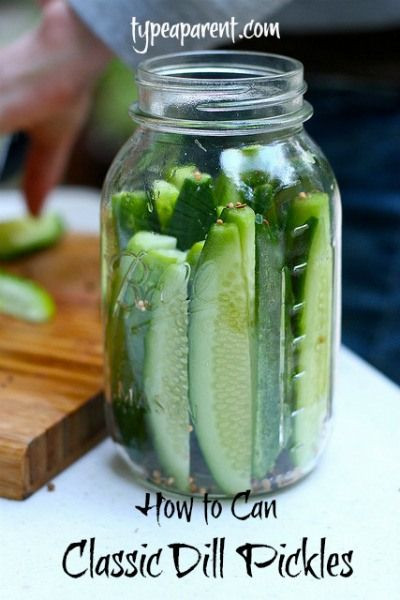 Dill Pickles Recipes Canning
 Copycat Claussen Kosher Dill Pickles
