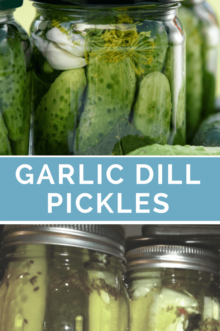 Dill Pickles Recipes Canning
 Garlic Dill Pickles Recipe Housewife How To s