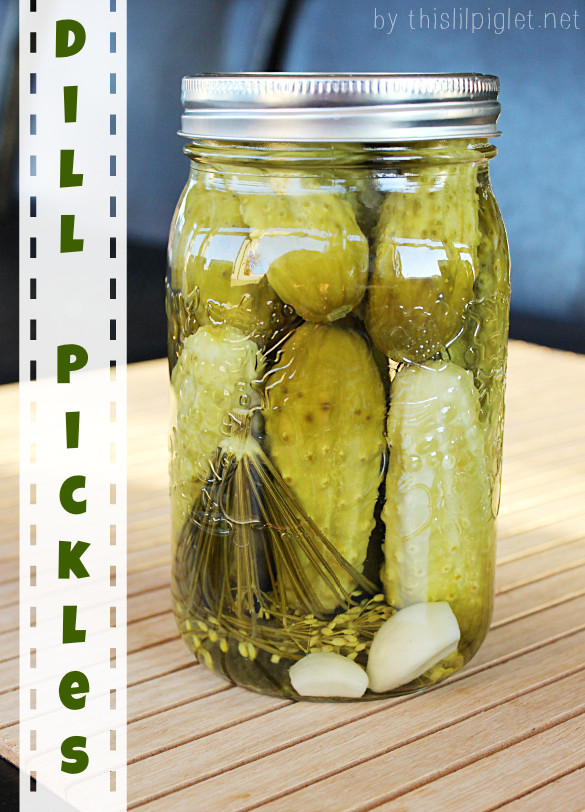 Dill Pickles Recipes Canning
 Garlic Dill Pickles Recipes Canning This Lil Piglet