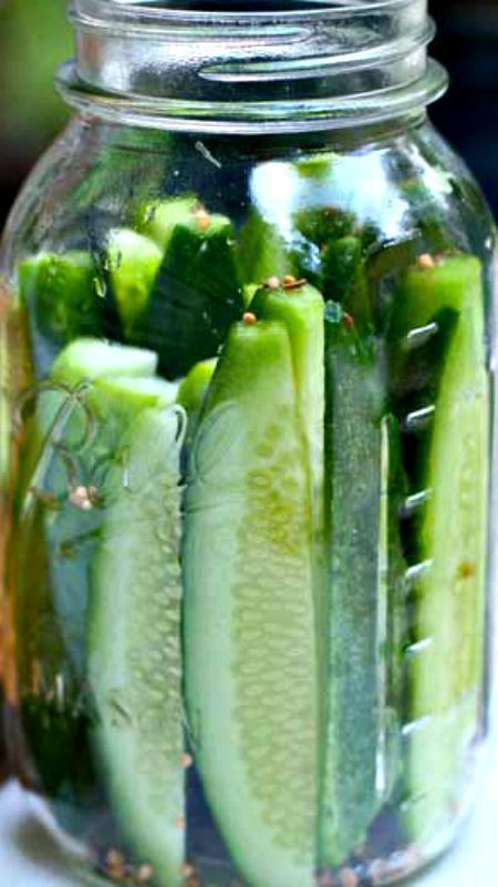 Dill Pickles Recipes Canning
 Copycat Claussen Kosher Dill Pickles Recipe