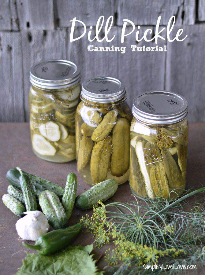 Dill Pickles Recipes Canning
 Grandma s Secret Dill Pickles Recipe & Canning Tutorial