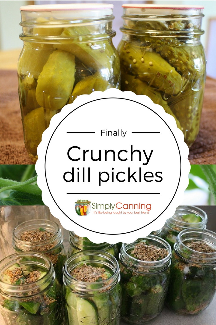 Dill Pickles Recipes Canning
 Dill Pickle Recipes Finally I m Getting the Crunch