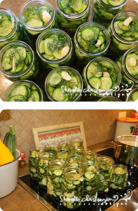 Dill Pickles Recipes Canning
 Dill Pickles Recipe and Canning gardening