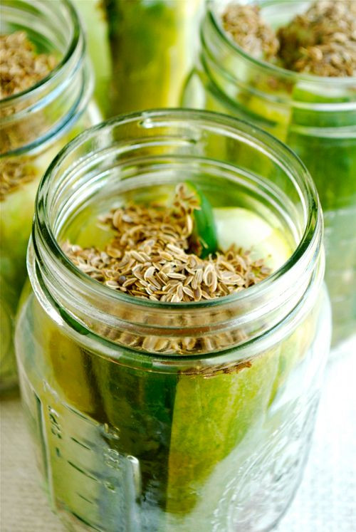 Dill Pickles Recipes Canning
 Homemade Dill Pickles Recipe