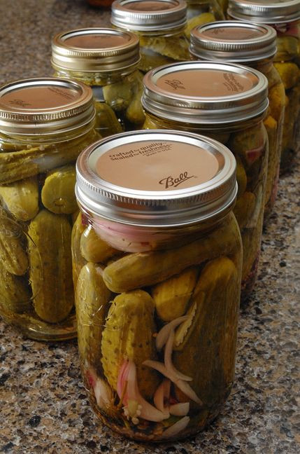 Dill Pickles Recipes Canning
 Spicy Dill and Spicy Sweet Dill Pickles