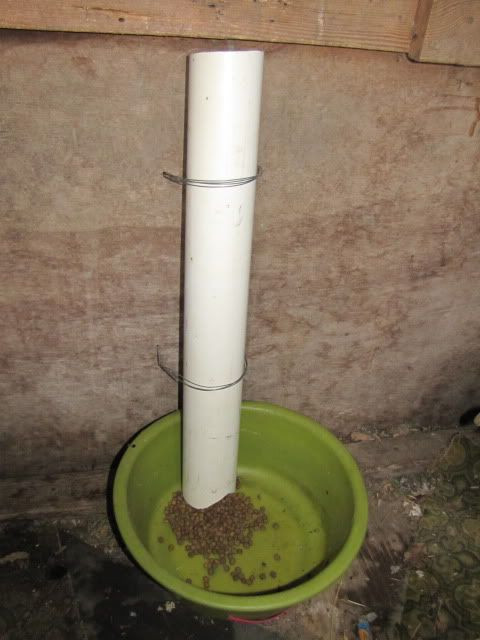 DIY Automatic Dog Feeder With Timer
 Google Image Result for