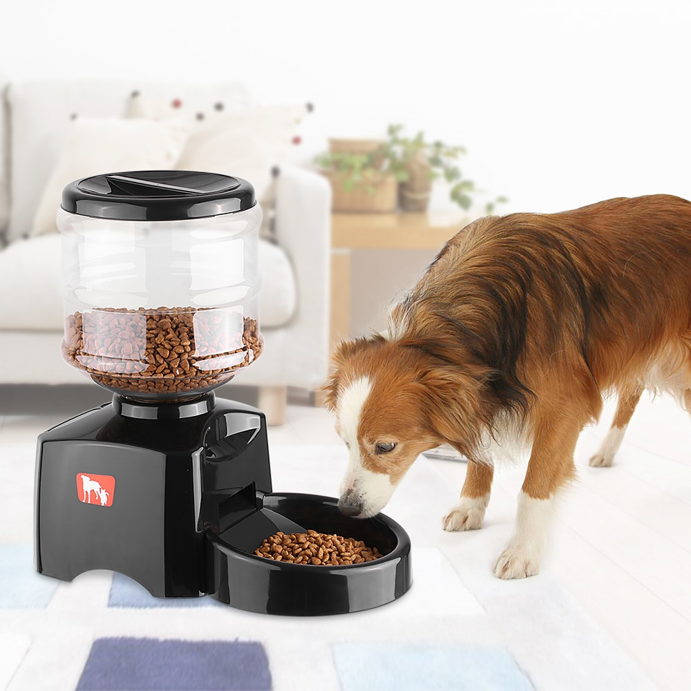 DIY Automatic Dog Feeder With Timer
 Programmable 5 5L LCD Display Automatic Pet Feeder for Cat