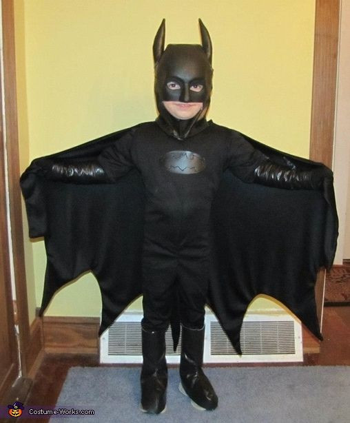 DIY Batman Costume Toddler
 Batman Robin and Poison Ivy Halloween Costume Contest