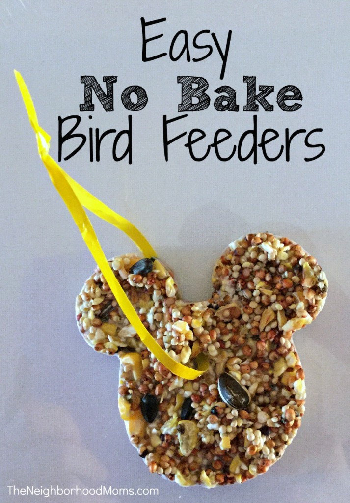 Diy Bird Feeders For Kids
 Easy No Bake Bird Feeders The Neighborhood Moms
