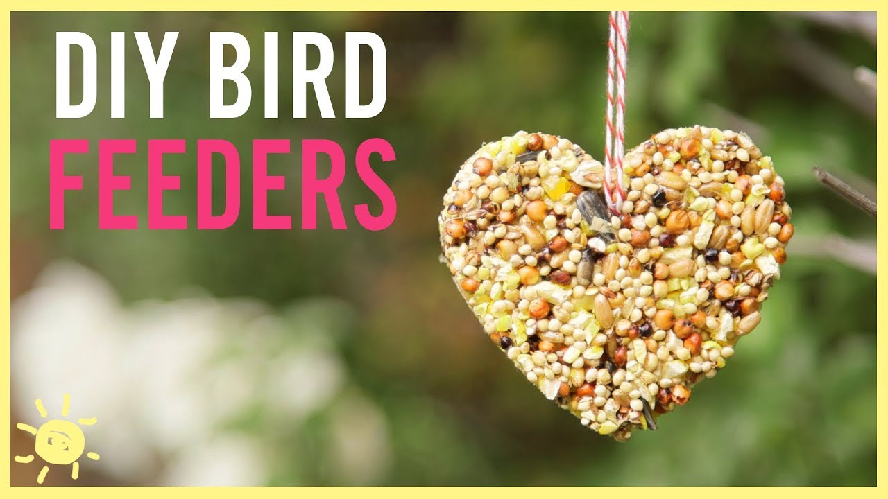 Diy Bird Feeders For Kids
 DIY