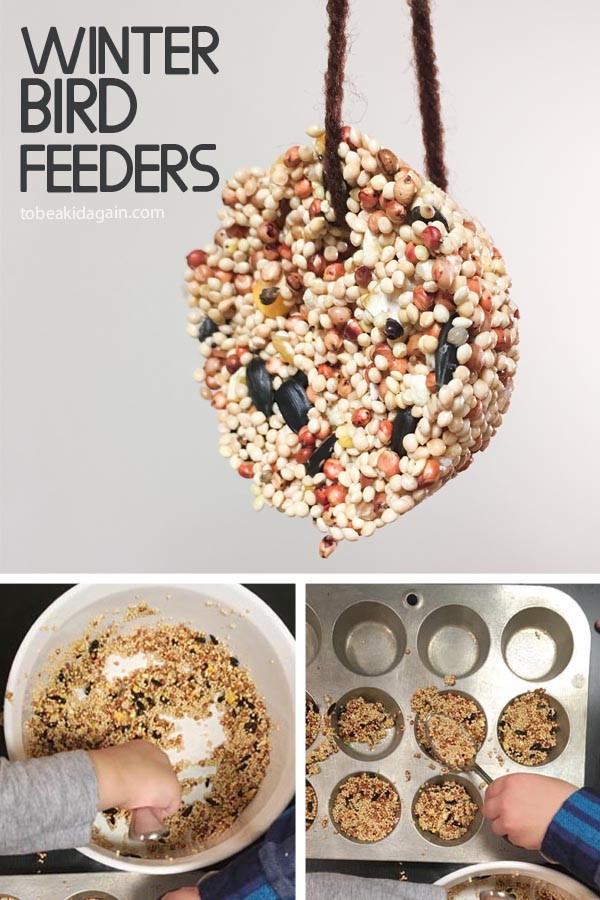 Diy Bird Feeders For Kids
 Making Birdseed Cookies for a DIY Winter Bird Feeder To