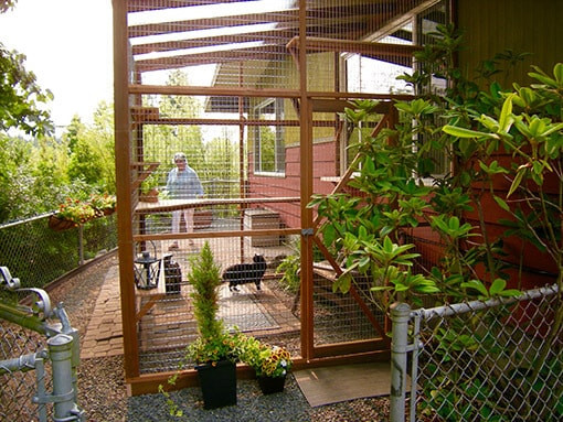 DIY Cat Enclosure Plans
 DIY Catio Plan The Sanctuary™ Catio Plans with 6x8 and