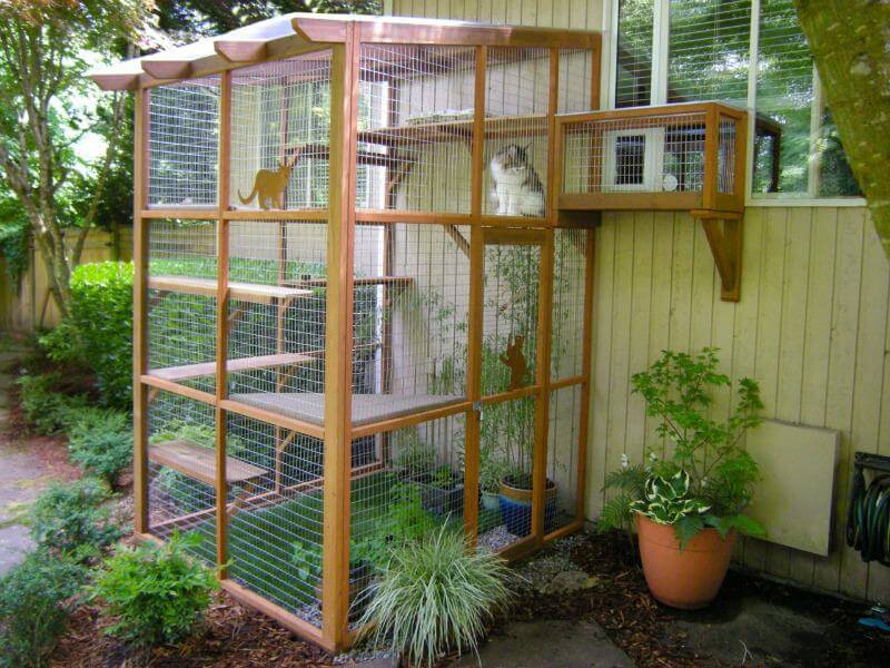 DIY Cat Enclosure Plans
 It’s Easy to Build a DIY Catio for Your Cat Catio Spaces