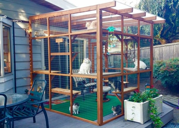 DIY Cat Enclosure Plans
 Catios Can Be Built in Three Hours or Less and Let Your