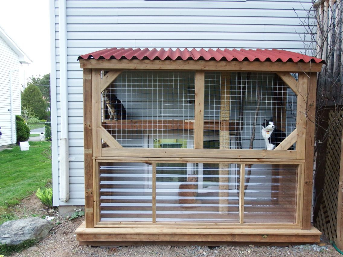 DIY Cat Enclosure Plans
 Our DIY catio