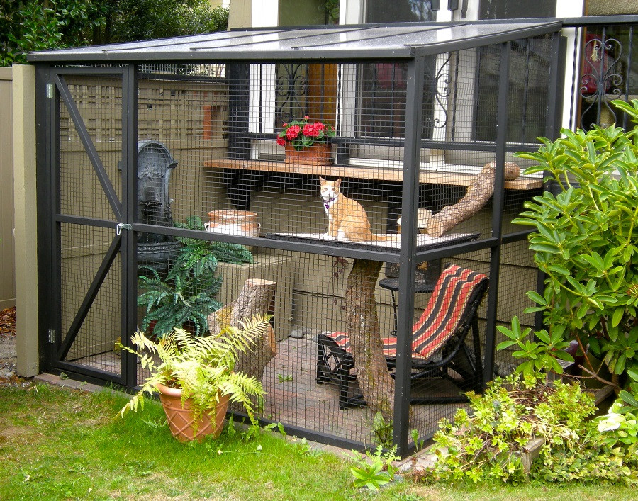 DIY Cat Enclosure Plans
 DIY Projects Build Your Own Cat Enclosure Melsteel