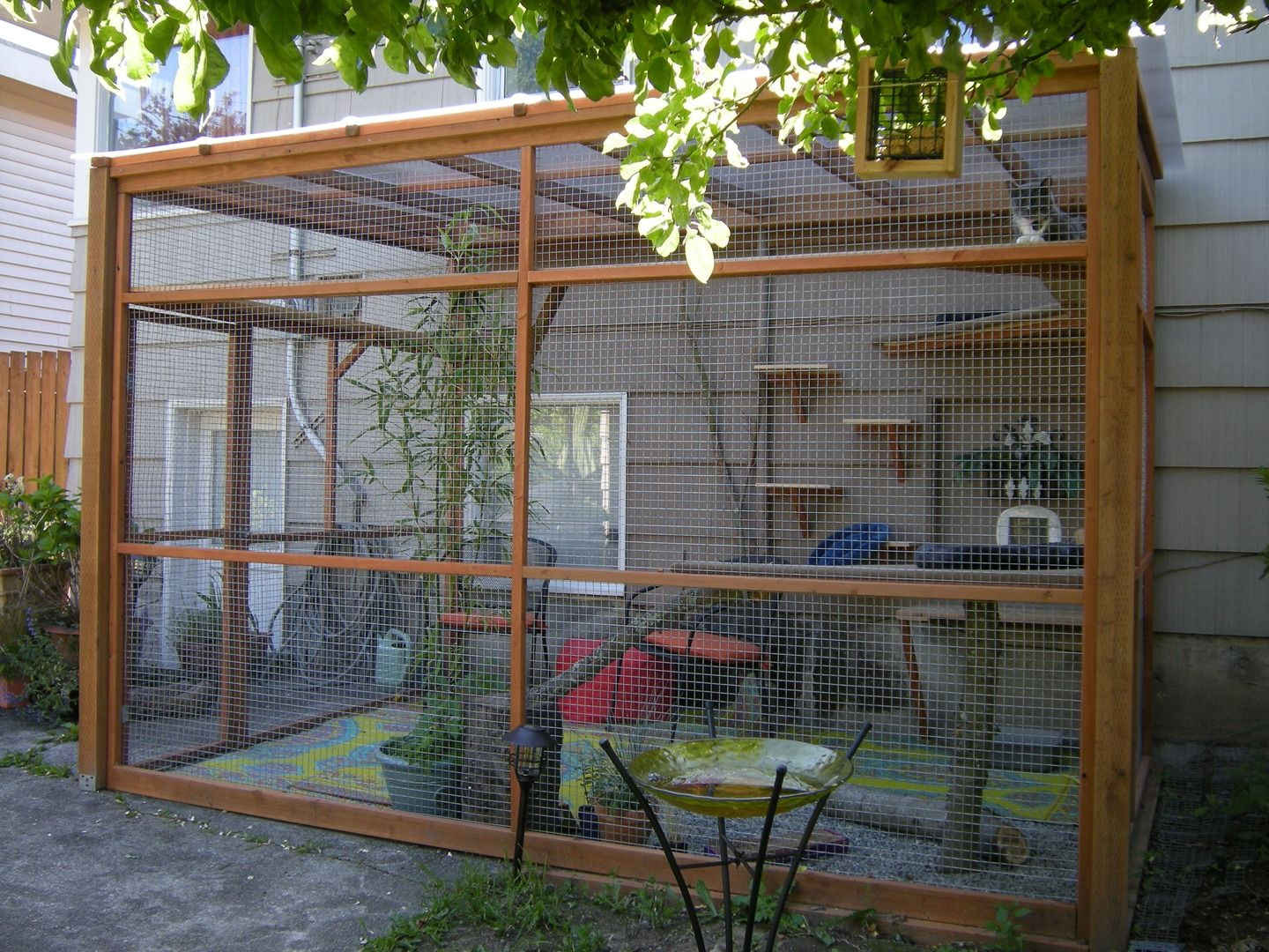 DIY Cat Outdoor Enclosures
 10 Amazing catios that ll make your cat love you forever