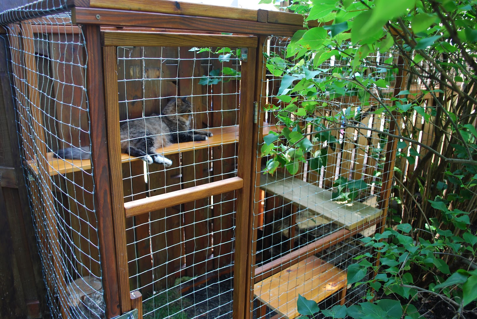 DIY Cat Outdoor Enclosures
 Easy DIY Cat Enclosure Cuckoo4Design