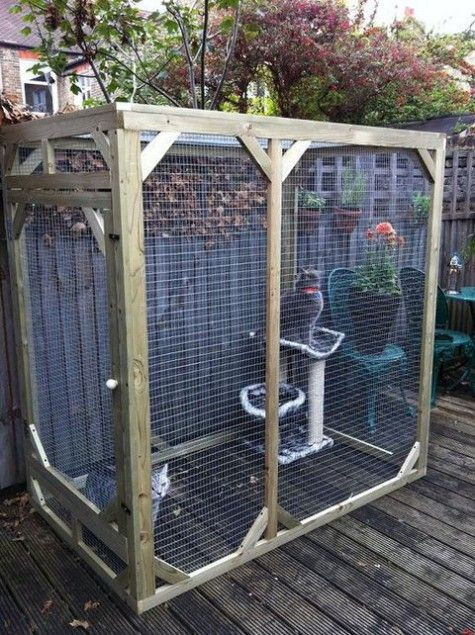 DIY Cat Outdoor Enclosures
 51 Outdoor Cat Enclosures Your Cat