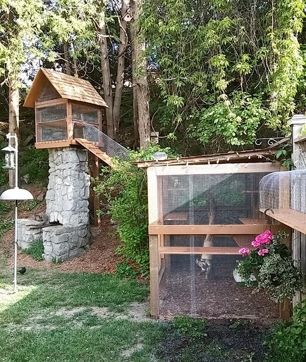DIY Cat Outdoor Enclosures
 Outdoor Cat Jungle Gym DIY Ideas