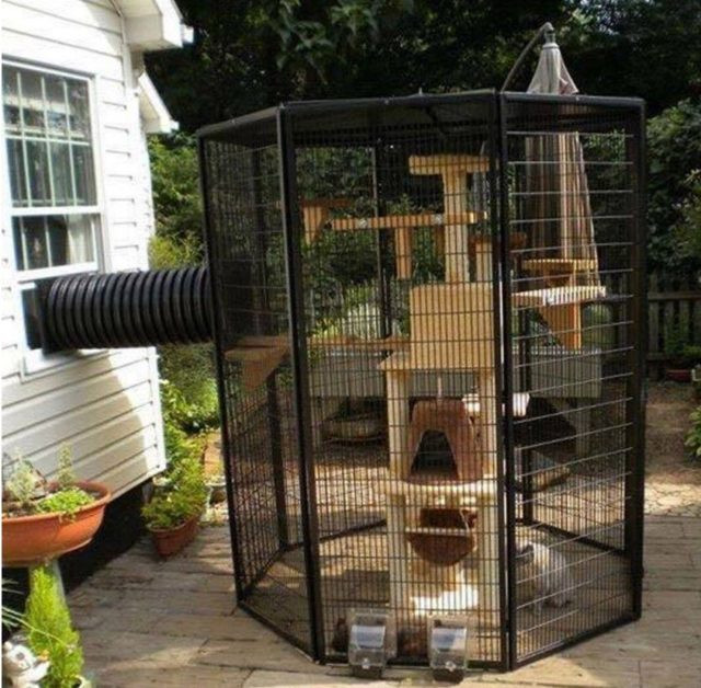 DIY Cat Outdoor Enclosures
 Home Design Garden & Architecture Blog Magazine