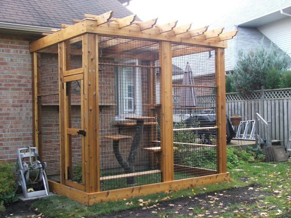 DIY Cat Outdoor Enclosures
 40 best Outdoor Cat Enclosure images on Pinterest