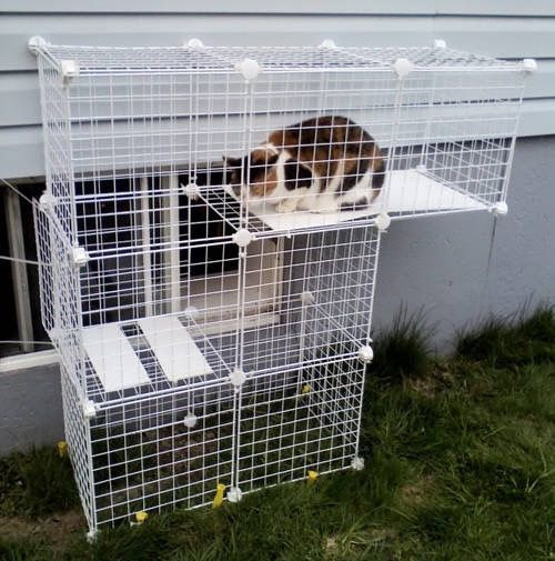 DIY Cat Outdoor Enclosures
 How to build your own catio from Cat and Caboodle