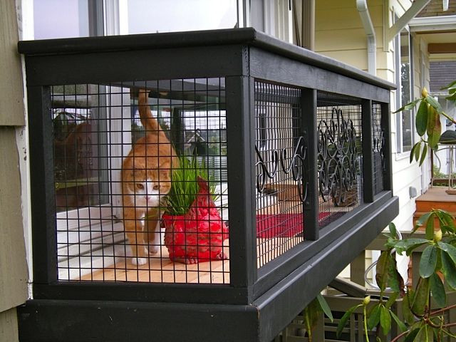 DIY Cat Outdoor Enclosures
 A Catio is the Coolest Thing You Never Knew Your Cat