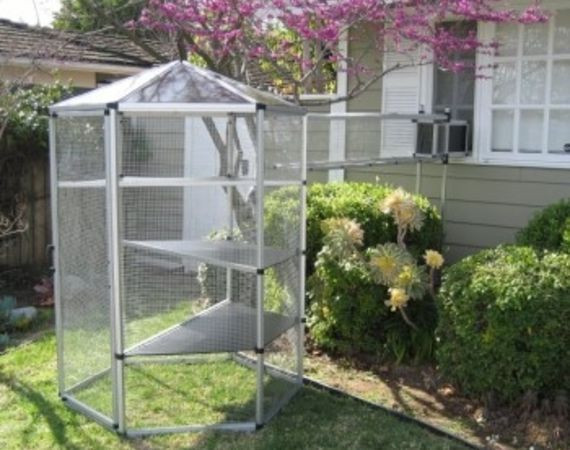 DIY Cat Outdoor Enclosures
 How to Buy an Outdoor Cat Enclosure Cheap