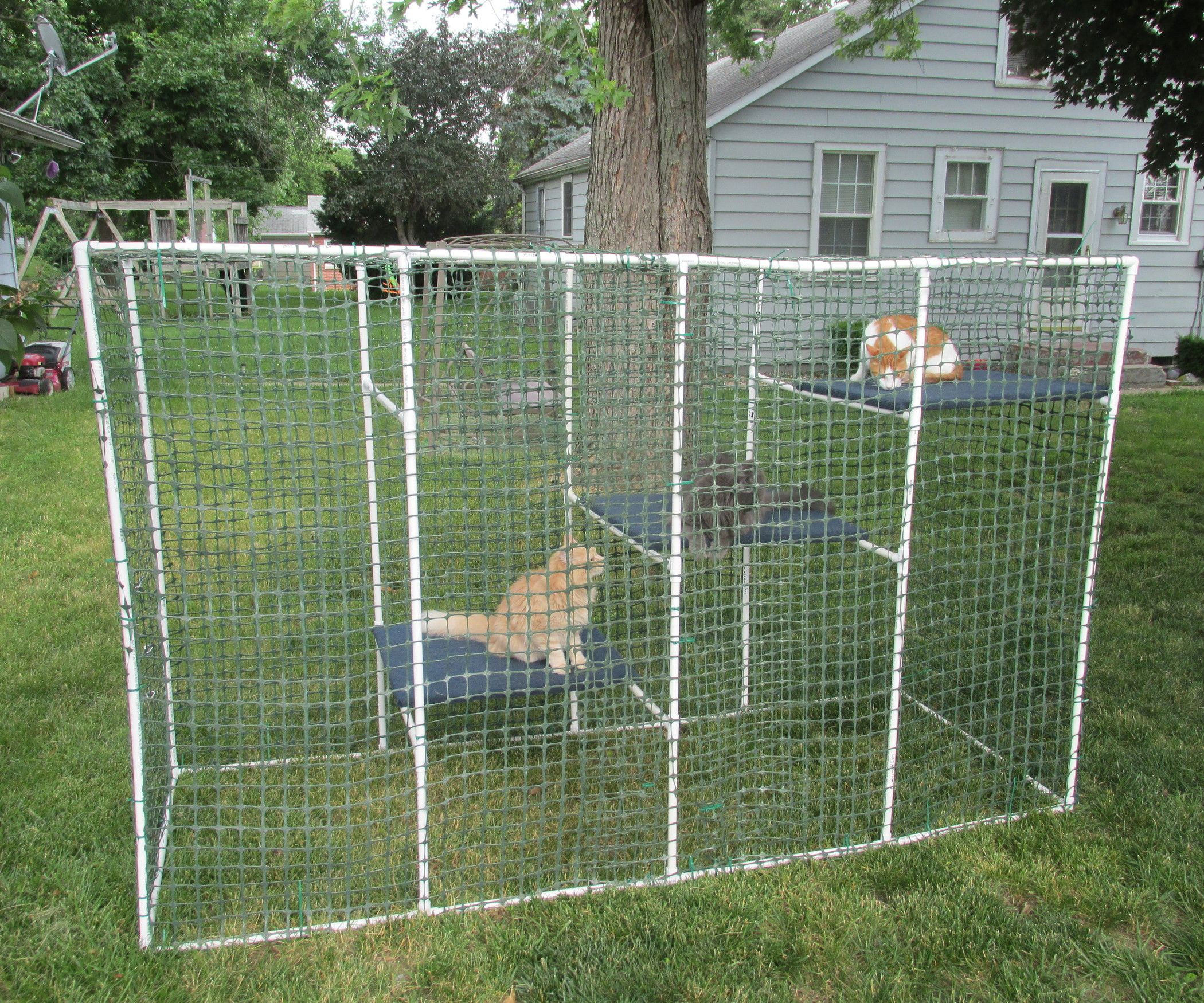 DIY Cat Outdoor Enclosures
 Cat Enclosure